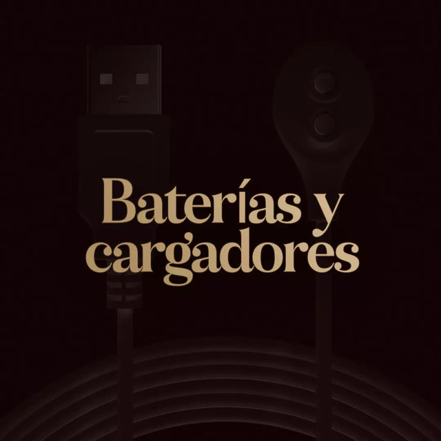 BATERIAS Y CARGADORES