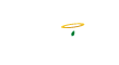 Paradisex Shop