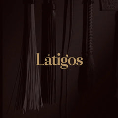 PALETA, LATIGO Y FUSTAS