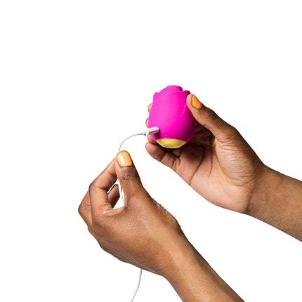 Succionador Rose Romp