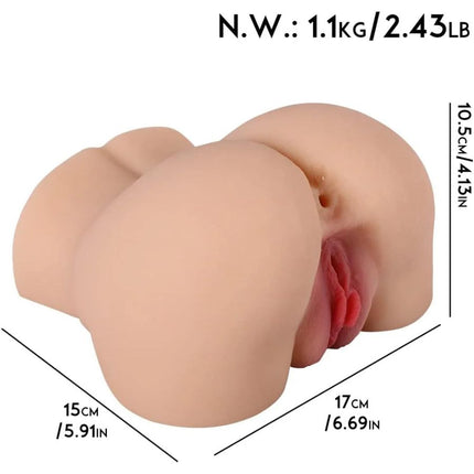 Torso Andromeda