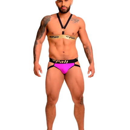 Arnes Masculino 42017