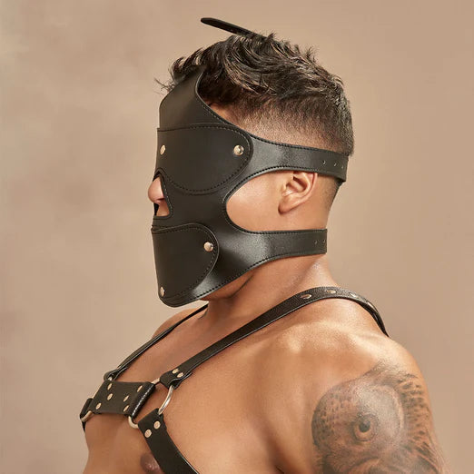 Blindfold With Gag